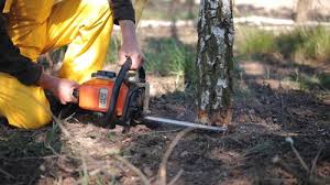 Best Mulching Services  in Ansonia, OH